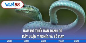 nằm mơ thấy rắn đánh số mấy